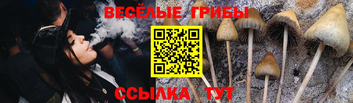 Галлюциногенные грибы MAGIC MUSHROOMS Керчь