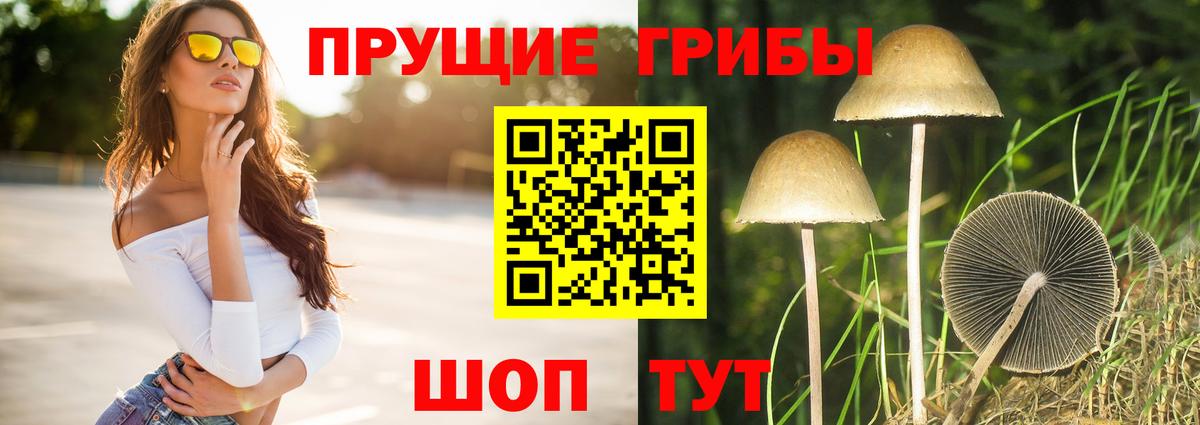 Керчь  Псилоцибиновые грибы Magic Shrooms  Псилоцибиновые грибы Psilocybine cubensis  Вход с VPN 